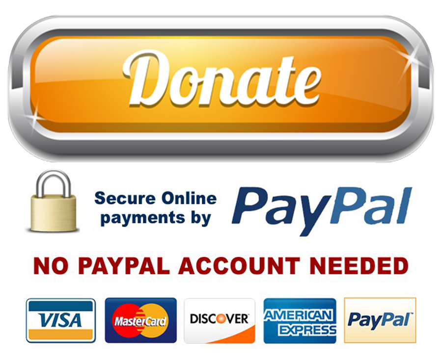 paypal donate button 2015